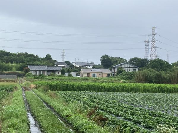 のどかな風景が広がる土地です