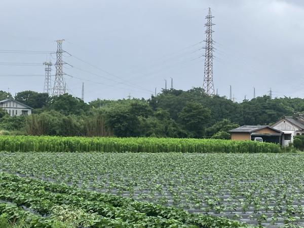 のどかな風景が広がる土地です