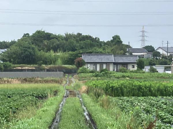 のどかな風景が広がる土地です