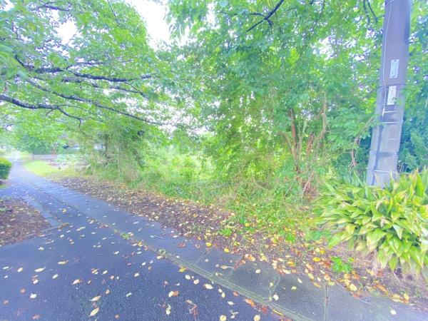 都城市高城町穂満坊の土地