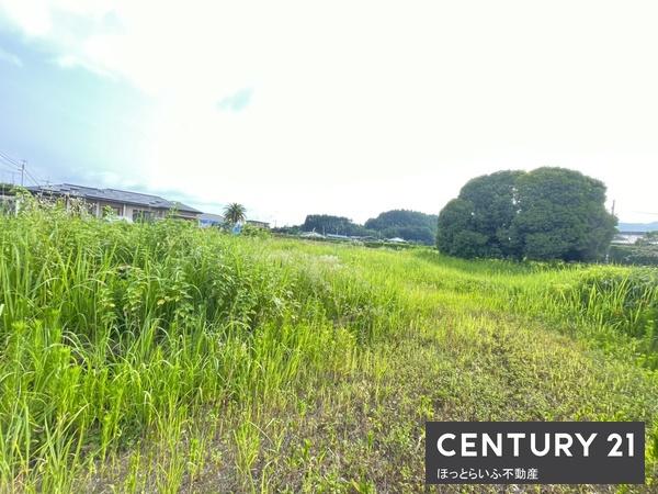 〇広々とした公道に面した土地！西向きで日当たり良好です。