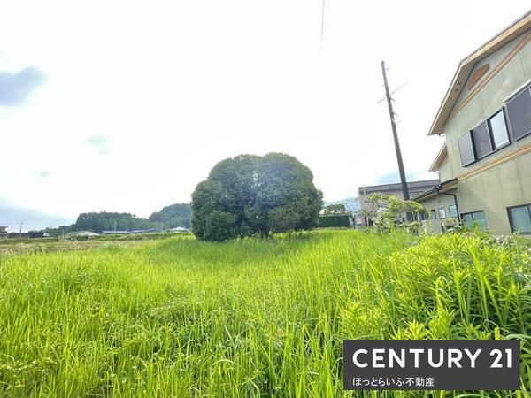 北諸県郡三股町大字宮村の土地