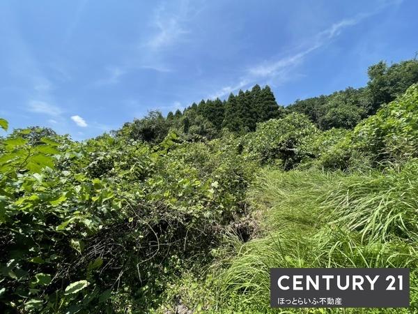 都城市高城町有水の土地