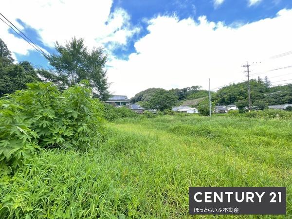 都城市高崎町大牟田の土地
