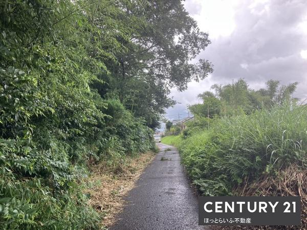 静かな場所にある山林です