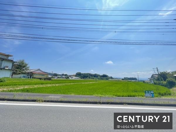 高崎町大牟田の700坪超のまとまった敷地が売りに出ています