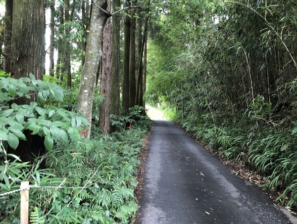 都城市高崎町大牟田の土地