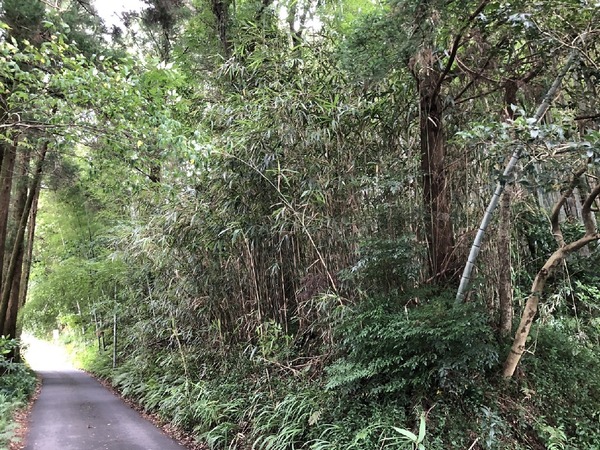 都城市高崎町大牟田の土地