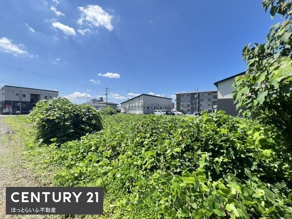 都城市立野町の土地