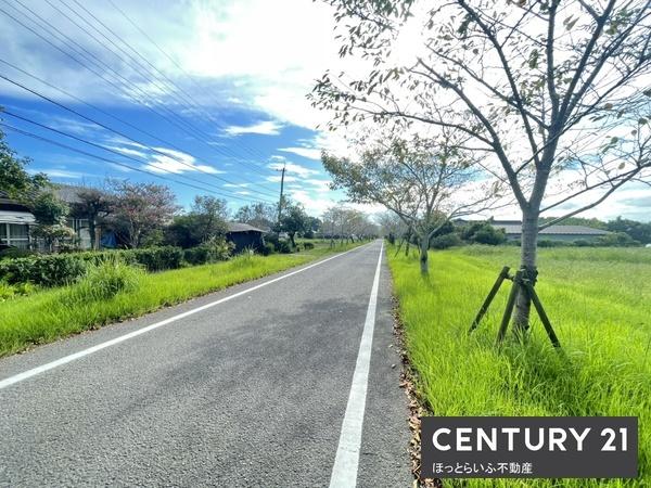 桜並木沿いにある横市町の平坦な売地です