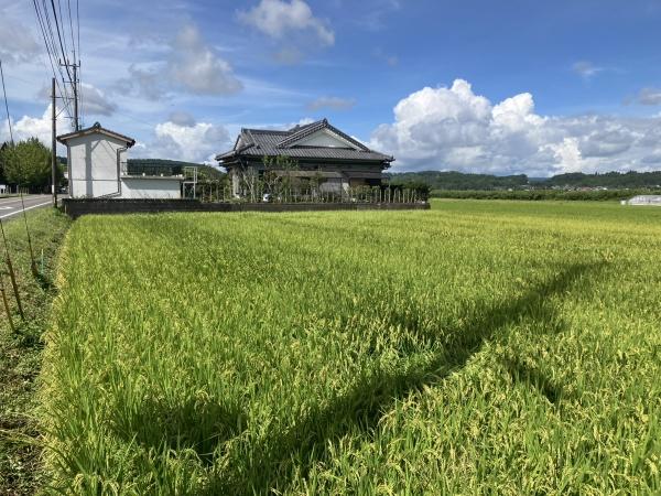 のどかな風景が広がる場所です