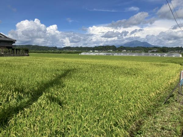 のどかな風景が広がる場所です