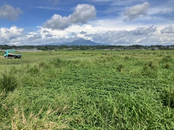 のどかな風景が広がる場所です