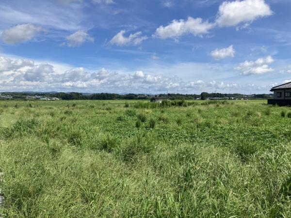 のどかな風景が広がる場所です
