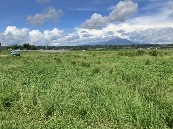 のどかな風景が広がる場所です