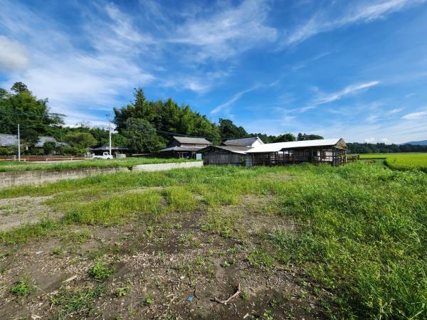 田んぼ風景が広がる静かな場所です