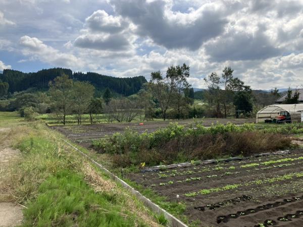 都城市山之口町花木の土地