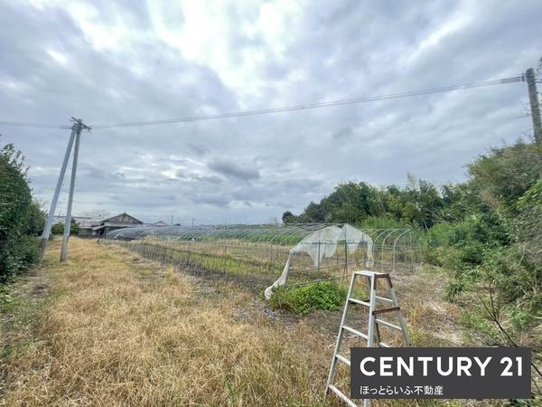 都城市高城町桜木の土地(現地土地写真)