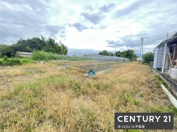 都城市高城町桜木の土地(現地土地写真)