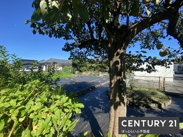 日豊本線都城駅徒歩27分の売地