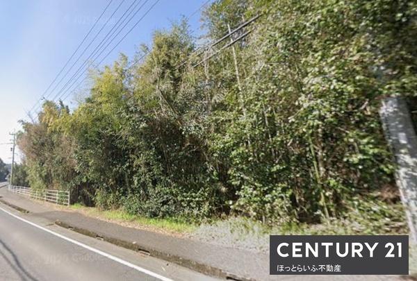 緑広がる土地が出ました