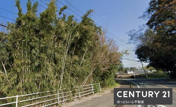 緑広がる土地が出ました