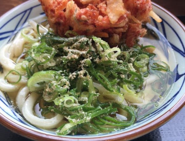 都城市早鈴町の土地(丸亀製麺都城)