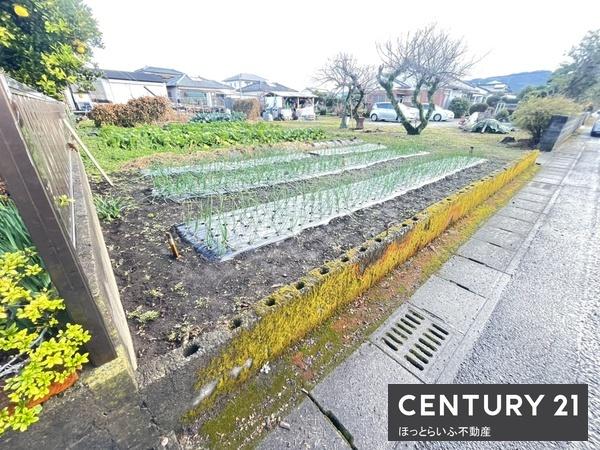 南向き公道に接し、広々としています