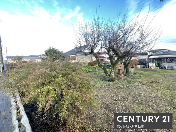 北諸県郡三股町大字樺山の土地