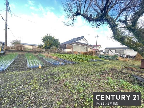 北諸県郡三股町大字樺山の土地