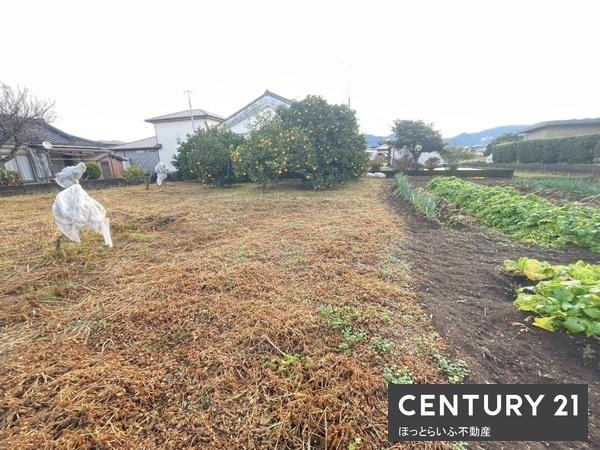 北諸県郡三股町大字宮村の土地