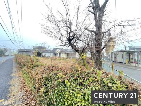 広々とした平坦地の売地です。B区画