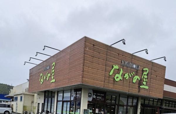 児湯郡高鍋町大字北高鍋の土地(ナガノヤ高鍋店)