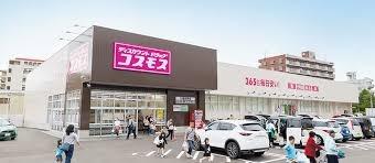 児湯郡高鍋町大字北高鍋の土地(ディスカウントドラッグコスモス高鍋樋渡店)