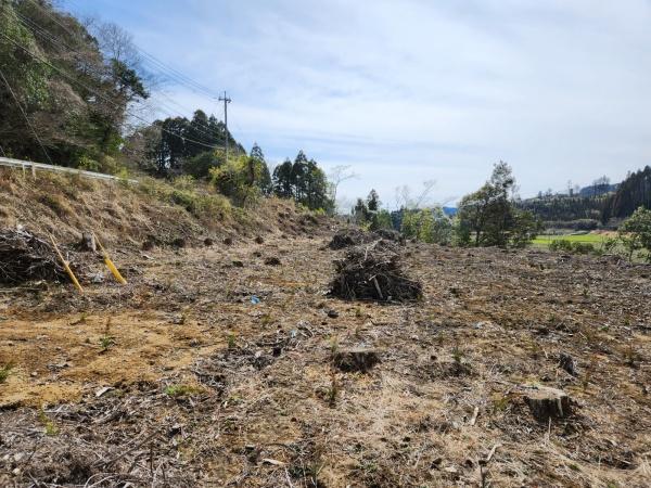 都城市美川町の土地