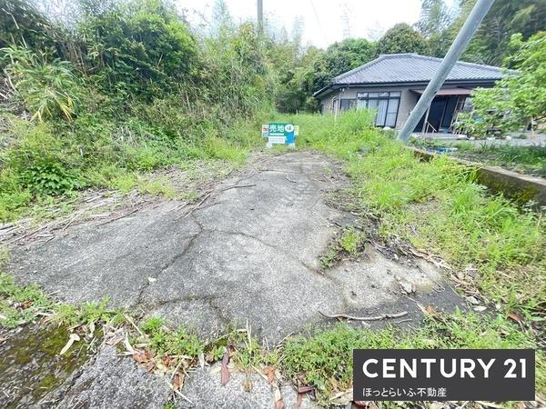 お手頃価格で土地が手に入ります　使い道自由です