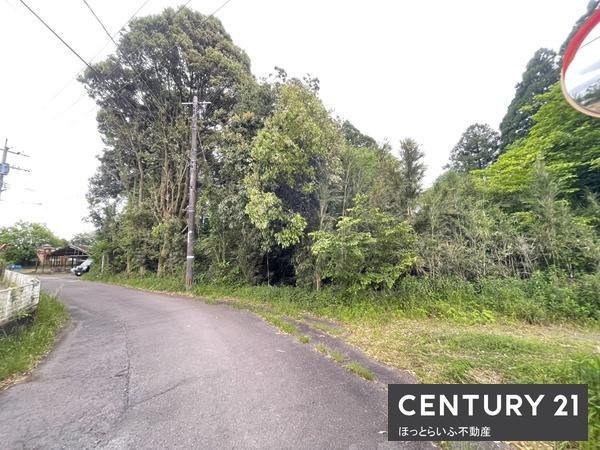 広々とした敷地で資材置き場や倉庫用地としても
