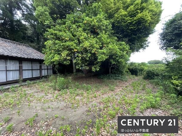 都城市野々美谷町の土地