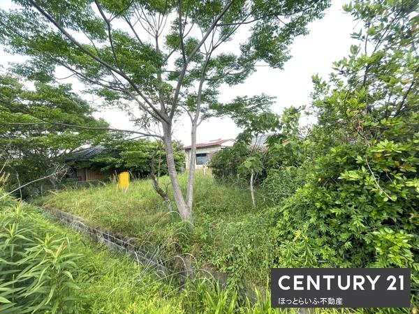 都城市千町の土地