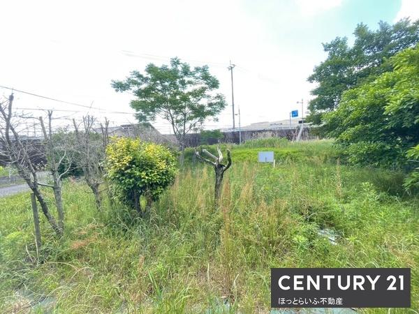 都城市千町の土地