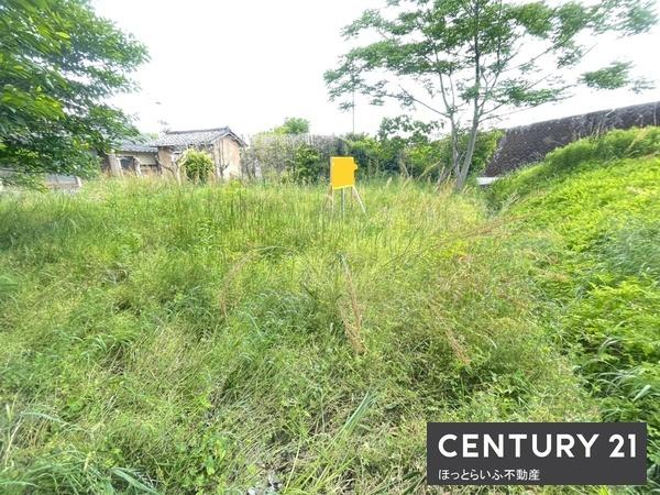 都城市千町の土地