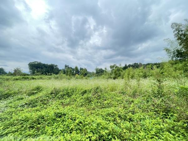 静かな環境に193坪の土地が出ました