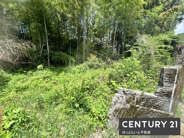 10号線沿いの192坪有る土地です