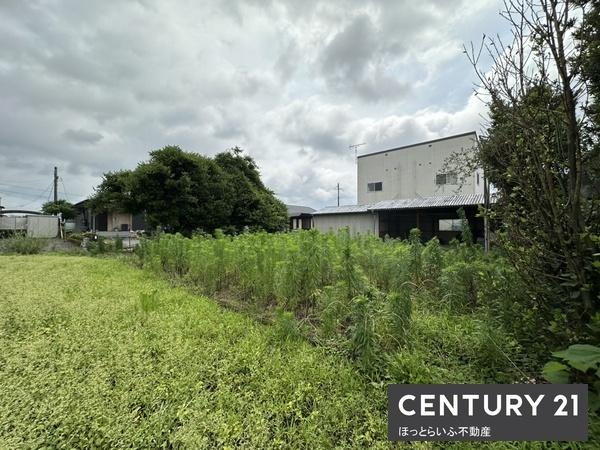 都城市金田町の土地