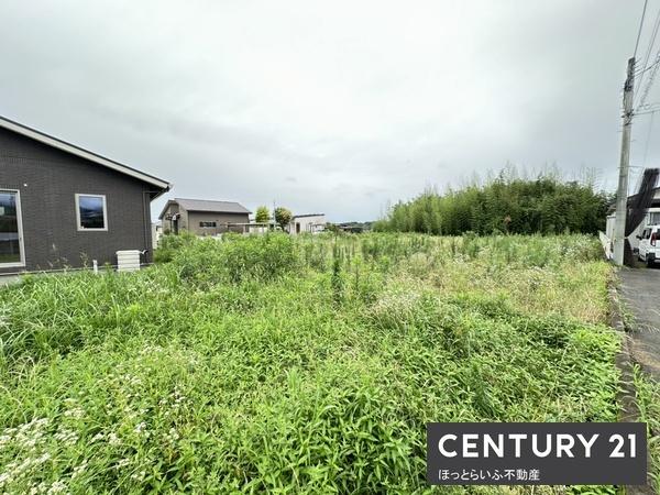 北諸県郡三股町大字樺山の土地