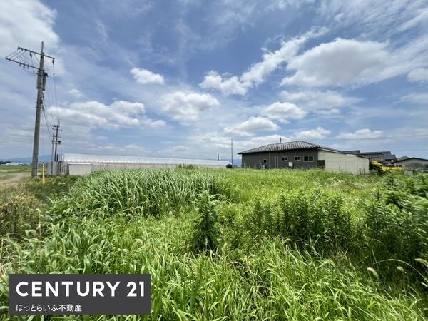 315坪の土地が金田町に出ました