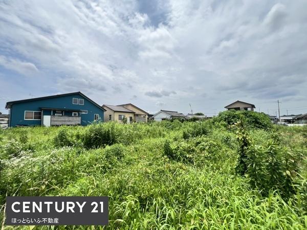 都城市金田町の土地