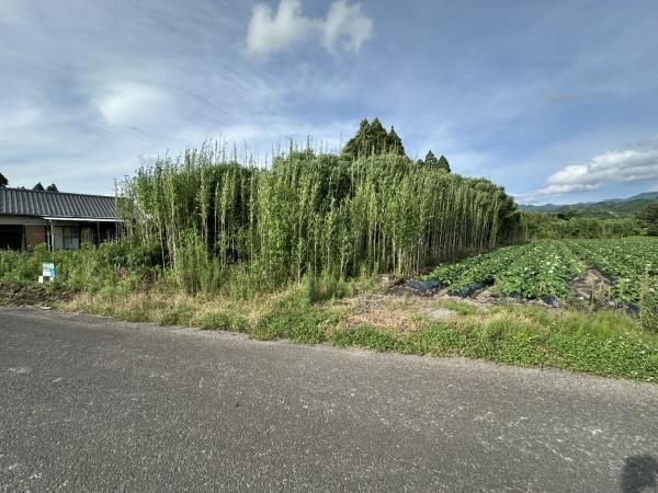 都城市豊満町の土地