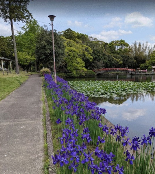 都城市立野町の中古一戸建て(早水公園)