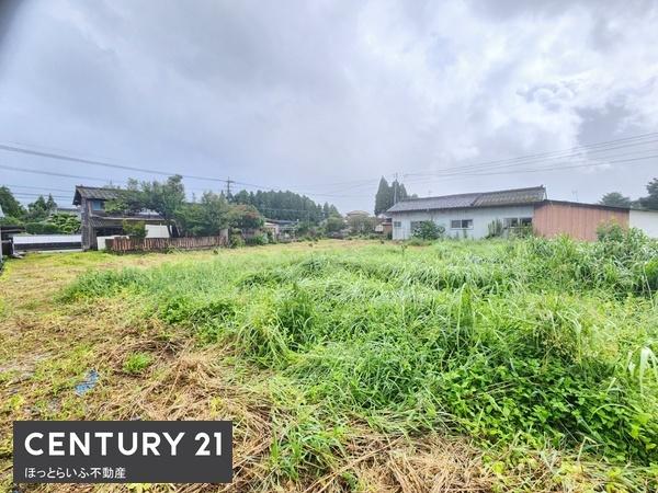 通りから入った場所に広がる土地です